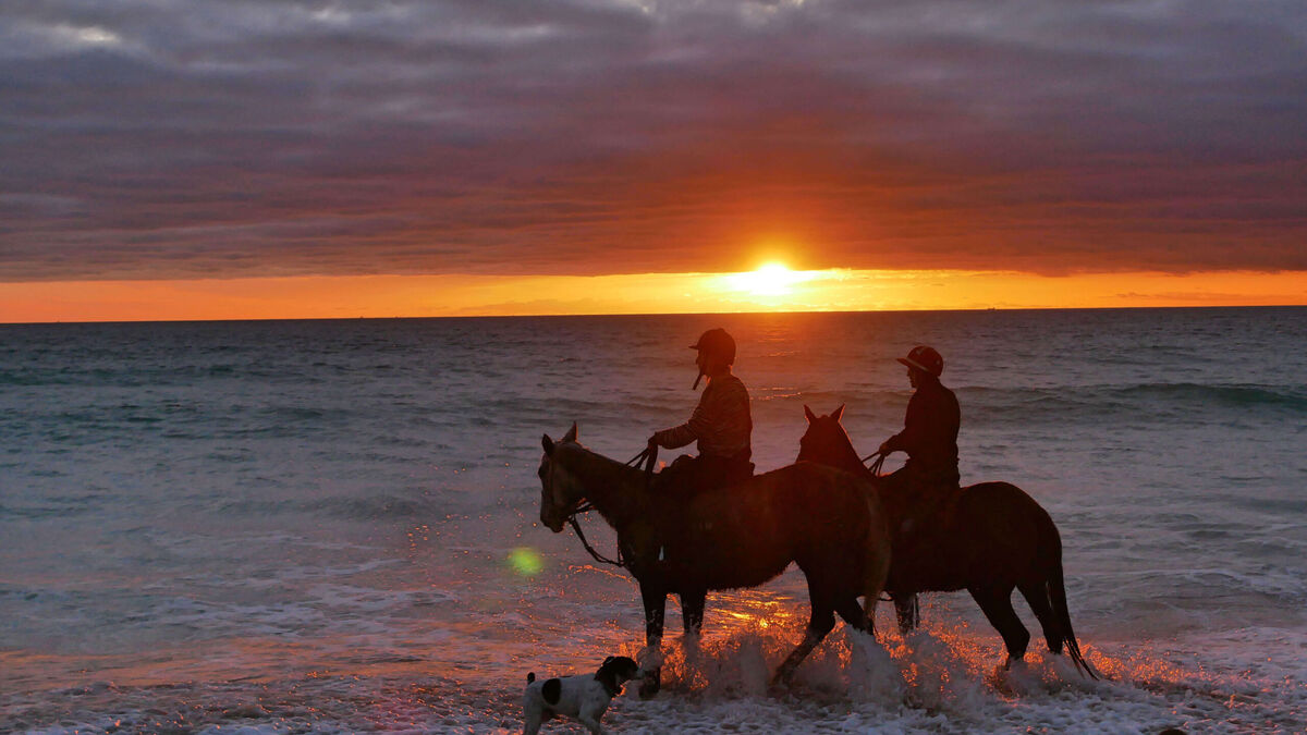 Disfruta-mejores-playas-Cadiz-caballo_1705639997_163210956_1200x675